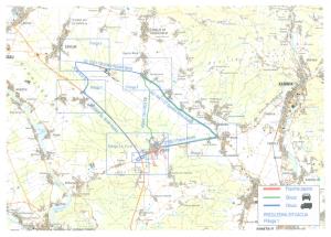 Grafični prikaz zapore ceste in obvozov